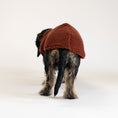 Load image into Gallery viewer, Teddy Shirt Dackel Brown – Hundekleidung für Dackel und Whippets – Rückenansicht