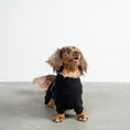 Load image into Gallery viewer, Overall Dackel Schwarz – ergonomischer Schnitt für Dackel und Windhunde – handgefertigte Hundekleidung