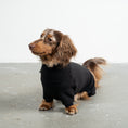 Load image into Gallery viewer, Overall Dackel Schwarz – Close-up am Hund – hochwertige Hundekleidung von Karma Hund