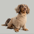 Load image into Gallery viewer, Overall Dackel Camel – Close-up am Hund – hochwertige Hundekleidung von Karma Hund