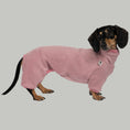 Load image into Gallery viewer, Overall Dackel Mulberry – hochwertige Hundekleidung für Dackel, Windspiele und Windhunde von Karma Hund Berlin – Ganzkörperansicht am Hund