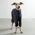 Load image into Gallery viewer, Overall Iggy Anthrazit – hochwertige Hundekleidung für Dackel, Windspiele und Windhunde von Karma Hund Berlin – Ganzkörperansicht am Hund