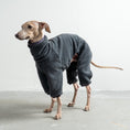 Load image into Gallery viewer, Overall Iggy Anthrazit – ergonomischer Schnitt für Dackel und Windspiele – handgefertigte Hundekleidung