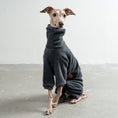 Load image into Gallery viewer, Overall Iggy Anthrazit – hochwertige Hundekleidung für Dackel, Windspiele und Windhunde von Karma Hund Berlin – Ganzkörperansicht am Hund