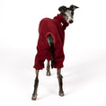 Load image into Gallery viewer, Overall Iggy Bordeaux – Hundekleidung für Dackel, Windspiele und Whippets – Rückenansicht