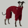 Load image into Gallery viewer, Overall Iggy Bordeaux – hochwertige Hundekleidung für Dackel, Windspiele und Windhunde von Karma Hund Berlin – Ganzkörperansicht am Hund