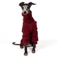 Load image into Gallery viewer, Overall Iggy Bordeaux – Close-up am Hund – hochwertige Hundekleidung von Karma Hund