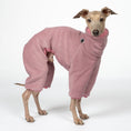 Load image into Gallery viewer, Overall Iggy Mulberry – hochwertige Hundekleidung für Dackel, Windspiele und Windhunde von Karma Hund Berlin – Ganzkörperansicht am Hund