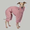 Load image into Gallery viewer, Overall Iggy Mulberry – hochwertige Hundekleidung für Dackel, Windspiele und Windhunde von Karma Hund Berlin – Ganzkörperansicht am Hund