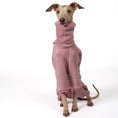Load image into Gallery viewer, Overall Iggy Mulberry – Close-up am Hund – hochwertige Hundekleidung von Karma Hund