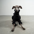 Load image into Gallery viewer, Overall Iggy Schwarz – handgefertigte Hundekleidung aus der Berliner Manufaktur von Karma Hund