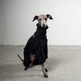 Load image into Gallery viewer, Overall Iggy Schwarz – ergonomischer Schnitt für Dackel und Windspiele – handgefertigte Hundekleidung