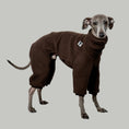 Load image into Gallery viewer, Overall Iggy Espresso – hochwertige Hundekleidung für Dackel, Windspiele und Windhunde von Karma Hund Berlin – Ganzkörperansicht am Hund