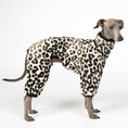 Load image into Gallery viewer, Overall Iggy Leo – Hundepullover und Hundekleidung für Dackel und Windspiele – Seitenansicht am Hund