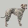 Load image into Gallery viewer, Overall Iggy Leo – Hundepullover und Hundekleidung für Dackel und Windspiele – Seitenansicht am Hund
