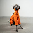 Load image into Gallery viewer, Overall Iggy Orange – Hundepullover und Hundekleidung für Dackel und Windspiele – Seitenansicht am Hund