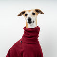 Load image into Gallery viewer, OVERALL Windhund Bordeaux