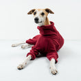 Load image into Gallery viewer, OVERALL Windhund Bordeaux
