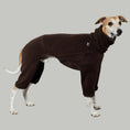 Load image into Gallery viewer, Overall Windhund Espresso – hochwertige Hundekleidung für Dackel, Windspiele und Windhunde von Karma Hund Berlin – Ganzkörperansicht am Hund