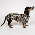 Load image into Gallery viewer, PULLOVER Dackel Leo