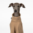Load image into Gallery viewer, Pullover Iggy Camel – Close-up am Hund – hochwertige Hundekleidung von Karma Hund