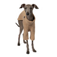 Load image into Gallery viewer, Pullover Iggy Camel – Close-up am Hund – hochwertige Hundekleidung von Karma Hund