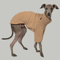 Load image into Gallery viewer, Pullover Iggy Camel – hochwertige Hundekleidung für Dackel, Windspiele und Windhunde von Karma Hund Berlin – Ganzkörperansicht am Hund