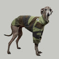 Load image into Gallery viewer, Pullover Iggy Camouflage – hochwertige Hundekleidung für Dackel, Windspiele und Windhunde von Karma Hund Berlin – Ganzkörperansicht am Hund