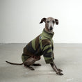 Load image into Gallery viewer, Pullover Iggy Camouflage – Hundepullover und Hundekleidung für Dackel und Windspiele – Seitenansicht am Hund