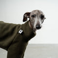 Load image into Gallery viewer, Pullover Iggy Dark Olive – Detailaufnahme Stoff und hochwertige Verarbeitung – Karma Hund Berlin