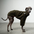 Load image into Gallery viewer, Pullover Iggy Dark Olive – hochwertige Hundekleidung für Dackel, Windspiele und Windhunde von Karma Hund Berlin – Ganzkörperansicht am Hund