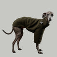 Load image into Gallery viewer, Pullover Iggy Dark Olive – hochwertige Hundekleidung für Dackel, Windspiele und Windhunde von Karma Hund Berlin – Ganzkörperansicht am Hund