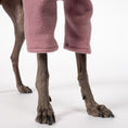 Load image into Gallery viewer, Pullover Iggy Mulberry – Detailaufnahme Stoff und hochwertige Verarbeitung – Karma Hund Berlin