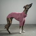 Load image into Gallery viewer, Pullover Windhund Mulberry – hochwertige Hundekleidung für Dackel, Windspiele und Windhunde von Karma Hund Berlin – Ganzkörperansicht am Hund