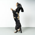 Load image into Gallery viewer, SOFTSHELL DOGHARNESS Dachshund Sand