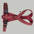 Load image into Gallery viewer, SOFTSHELL HUNDEGESCHIRR Dackel Weinrot