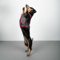 Load image into Gallery viewer, SOFTSHELL HUNDEGESCHIRR Dackel Weinrot