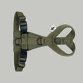 Load image into Gallery viewer, SOFTSHELL DOGHARNESS Iggy Dark Olive