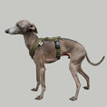Load image into Gallery viewer, SOFTSHELL DOGHARNESS Iggy Dark Olive