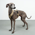 Load image into Gallery viewer, SOFTSHELL HUNDEGESCHIRR Iggy Sand