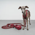Load image into Gallery viewer, Crossbody Leine Weinrot