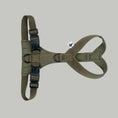 Load image into Gallery viewer, SOFTSHELL DOGHARNESS Sighthound Dark Olive