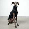 Load image into Gallery viewer, SOFTSHELL HUNDEGESCHIRR Iggy Schwarz