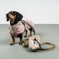 Load image into Gallery viewer, Softshell Snackbeutel Sand