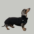 Load image into Gallery viewer, SWEAT SHIRT Dachshund Black