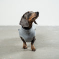 Load image into Gallery viewer, SWEAT SHIRT Dachshund Grey Melange