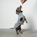 Load image into Gallery viewer, SWEAT SHIRT Dachshund Grey Melange