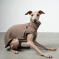 Load image into Gallery viewer, SWEAT SHIRT Iggy Mokka