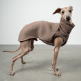 Load image into Gallery viewer, SWEAT SHIRT Iggy Mokka