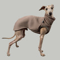 Load image into Gallery viewer, SWEAT SHIRT Iggy Braun